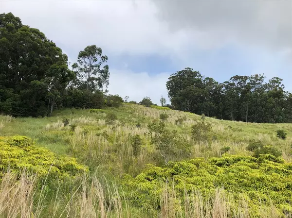 Laupahoehoe, HI 96764,36-772 360772