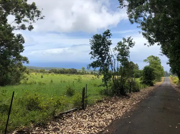 Laupahoehoe, HI 96764,36-772 360772