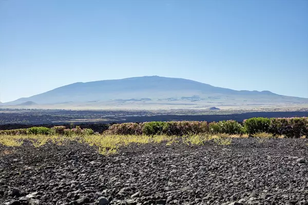 Kamuela, HI 96743,E PUKAUA PL