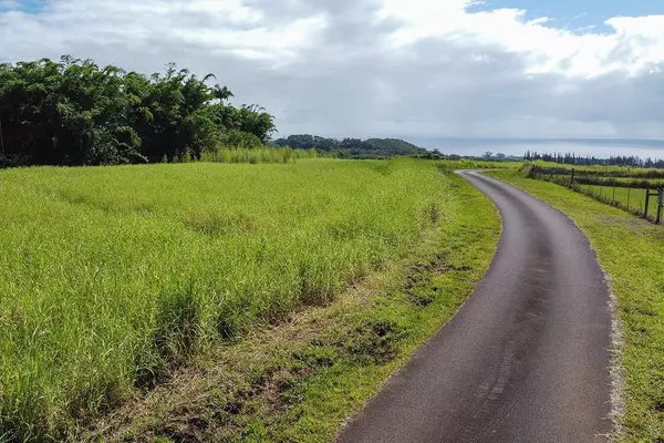 Pepeekeo, HI 96783,Onohi Lp & Lalahiwa