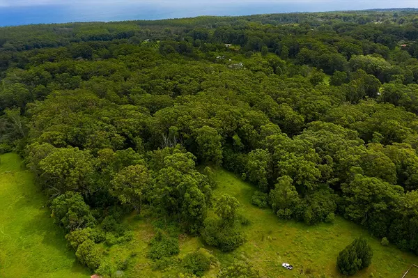 Honokaa, HI 96727,Puaono Rd