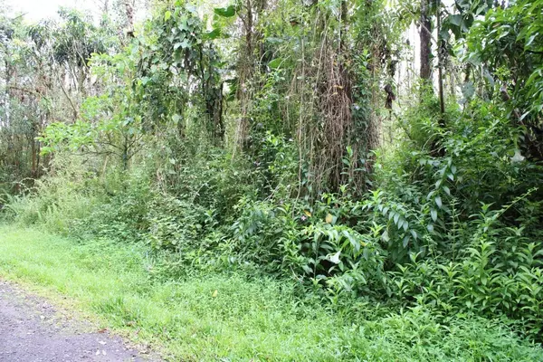 Pahoa, HI 96778,KAUAI RD