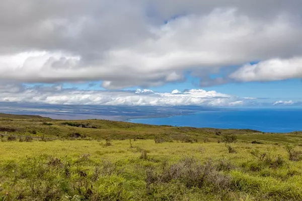 Kamuela, HI 96743,93 Kohala Ranch Rd