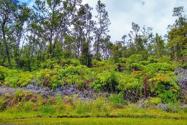 PA ALII RD, Volcano, HI 96785