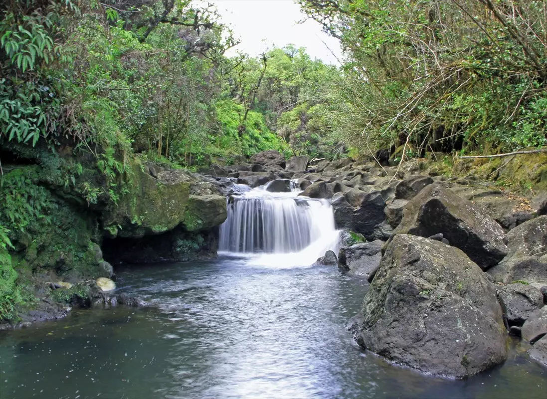 Pepeekeo, HI 96783,28-937 Kaupakuea Hmstead Rd