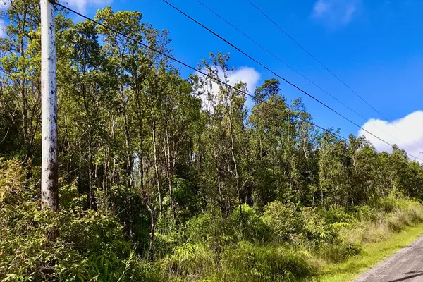 Volcano, HI 96785,OMEKA RD