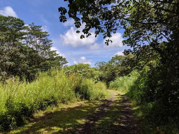 Pahoa, HI 96778,15-3195 PAHOA KAPOHO RD