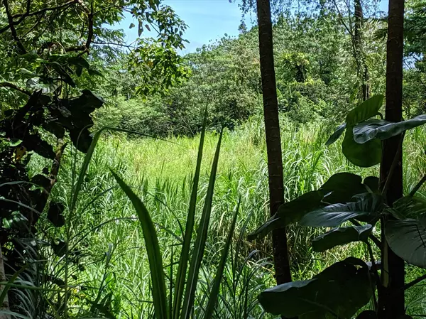 Pahoa, HI 96778,15-3195 PAHOA KAPOHO RD