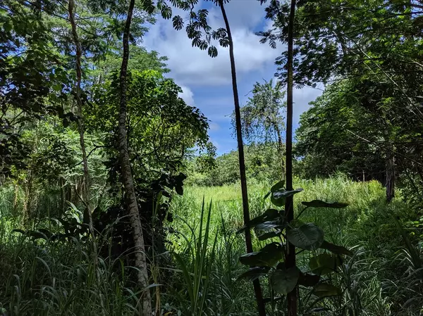 Pahoa, HI 96778,15-3195 PAHOA KAPOHO RD