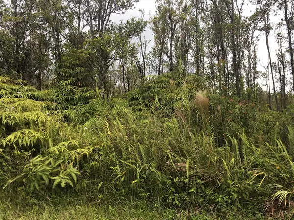 KOKOKAHI RD, Volcano, HI 96785