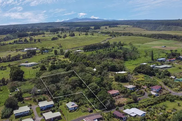 PUUALAEA HOMESTEAD ROAD, Laupahoehoe, HI 96764