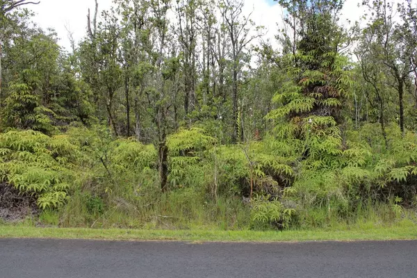 ALA KAPENA, Volcano, HI 96785