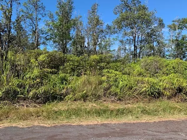 Keaau, HI 96760,Lot 12, 35TH AVE