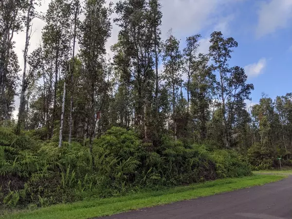 Pahoa, HI 96778,LAHAINA RD