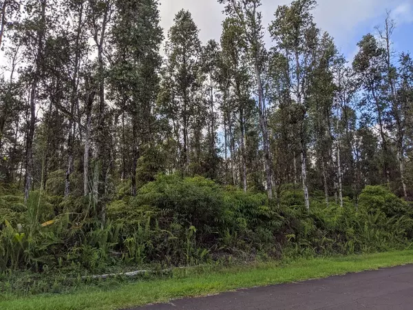 Pahoa, HI 96778,SEAVIEW RD