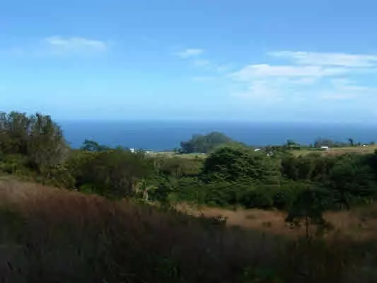 32-418 PIHA KAHUKU, Ninole, HI 96773