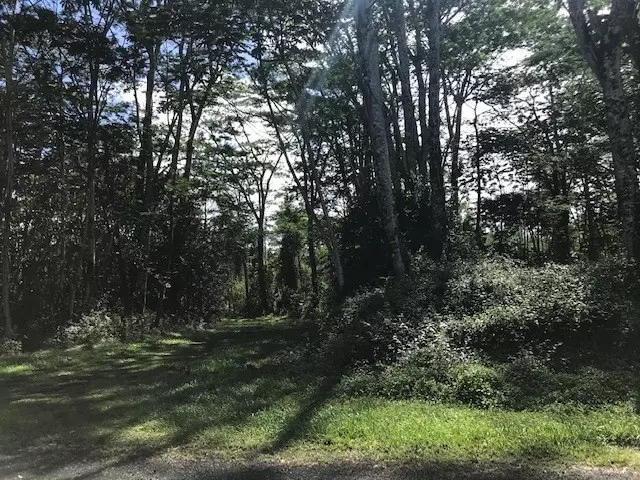 Pahoa, HI 96778,KAILUA RD