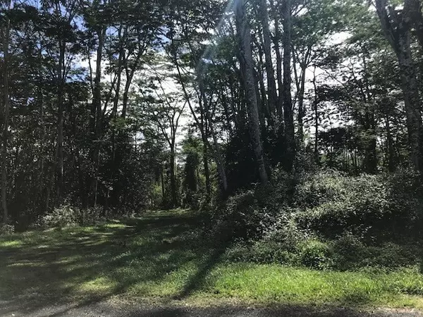 KAILUA RD, Pahoa, HI 96778