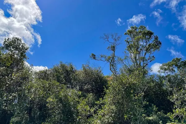 HAUMALU ST, Volcano, HI 96785