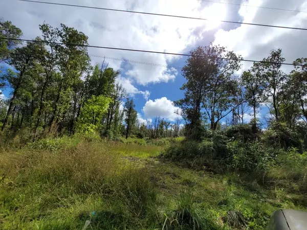 JUNGLE KING AVE, Volcano, HI 96785