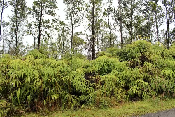 ALA NAULANI RD, Volcano, HI 96785