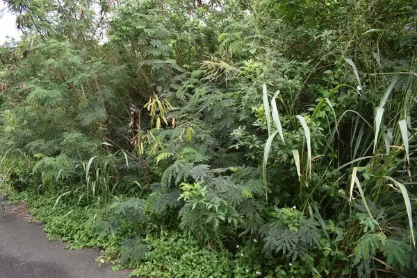 PELE ST, Naalehu, HI 96772