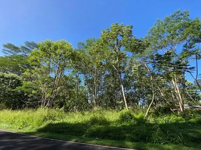 Pahoa, HI 96778,15-282 KAHAKAI BLVD