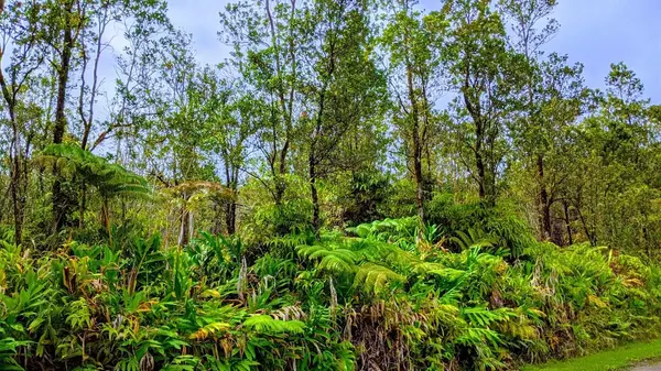 LELEHUNA RD, Volcano, HI 96785