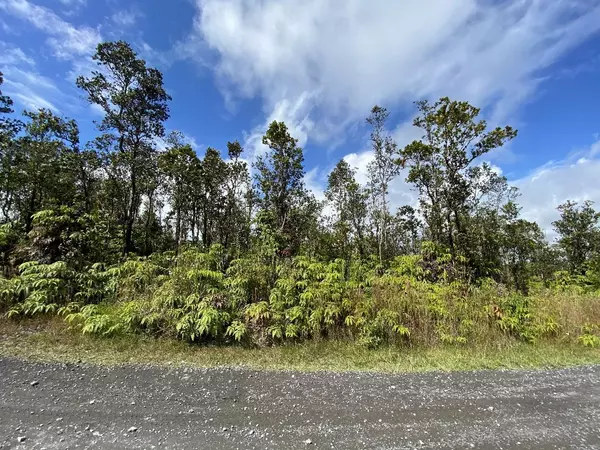 Volcano, HI 96785,OHIALANI RD