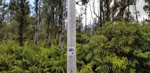 KAHUKAI ST, Pahoa, HI 96778