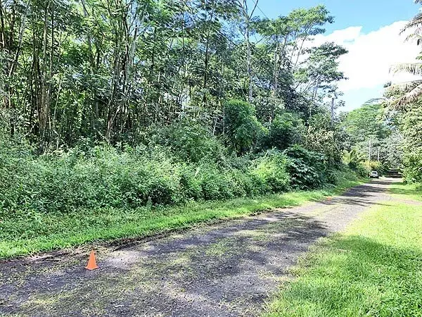 Pahoa, HI 96778,LEHUA RD