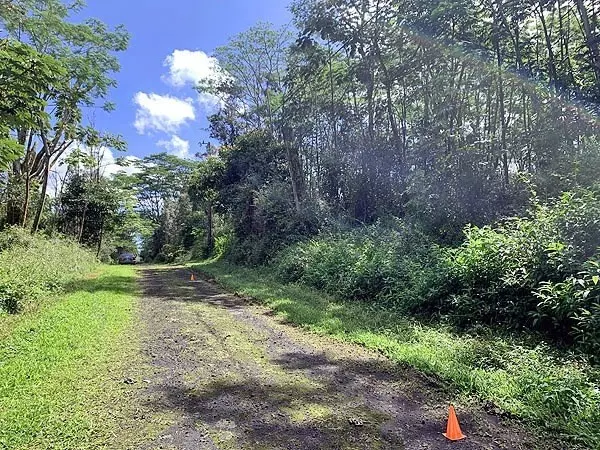 Pahoa, HI 96778,LEHUA RD