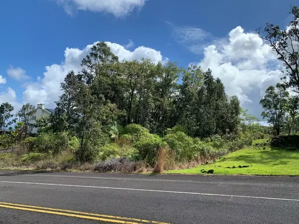 Hilo, HI 96720,MELE MANU ST