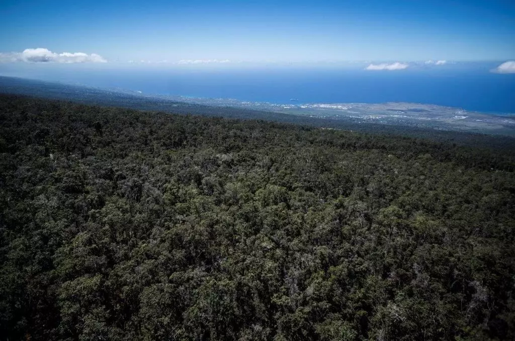 Kailua-Kona, HI 96740,73-4365 MAKAHI ST