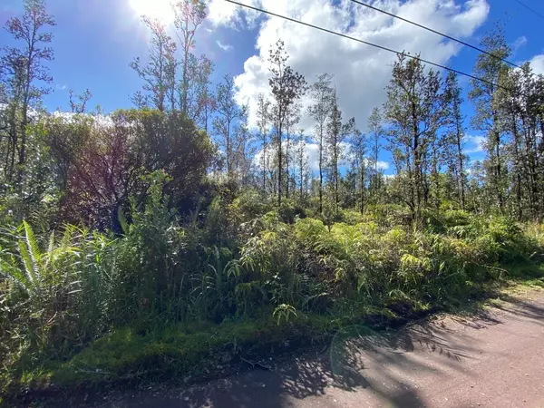 Mountain View, HI 96771,HOPUE RD (ROAD 3)