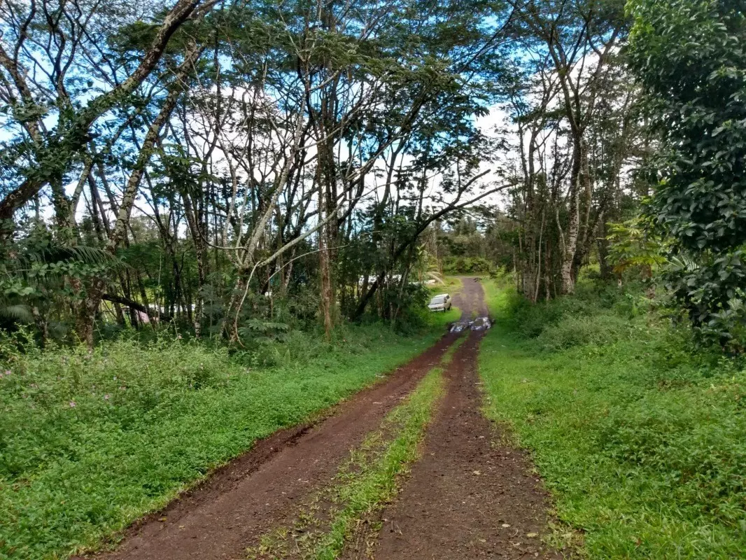 Pahoa, HI 96778,KAUAI RD