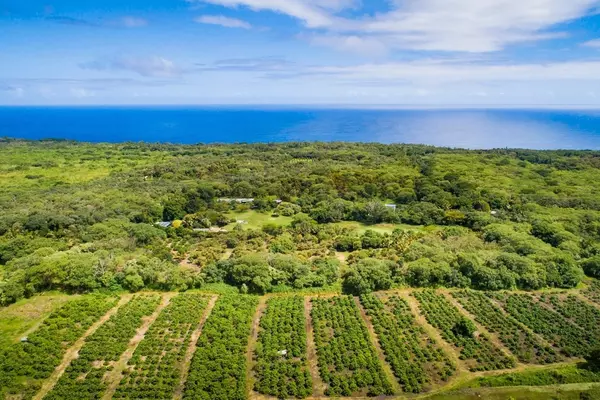 Pahoa, HI 96778,OPIHIKAU RD