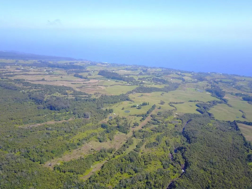 Laupahoehoe, HI 96764