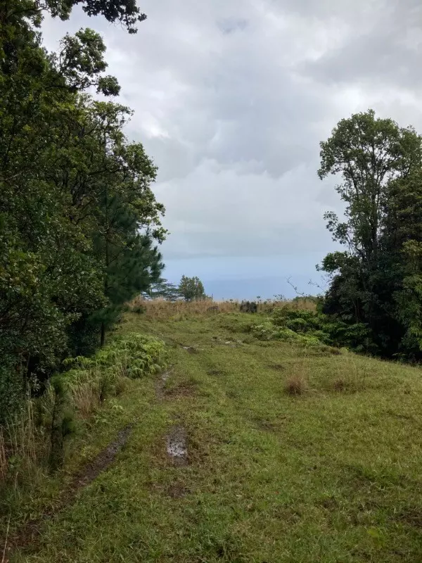 Laupahoehoe, HI 96764