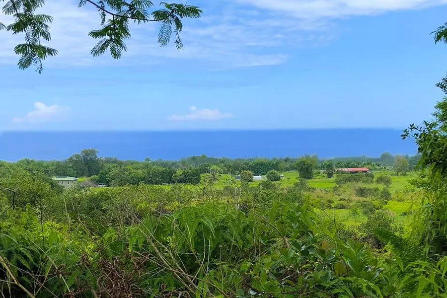 KAIWIKI HOMESTEAD ROAD, Hakalau, HI 96710