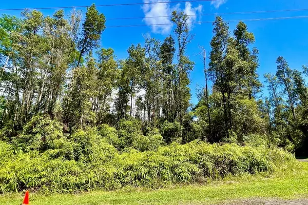 Pahoa, HI 96778,FOREST RD