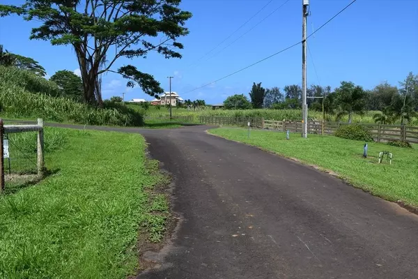 Pepeekeo, HI 96783,Loa Rd. Lot#79