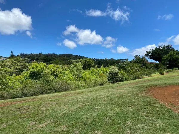 Kalaheo, HI 96741,KAUMUALII HWY