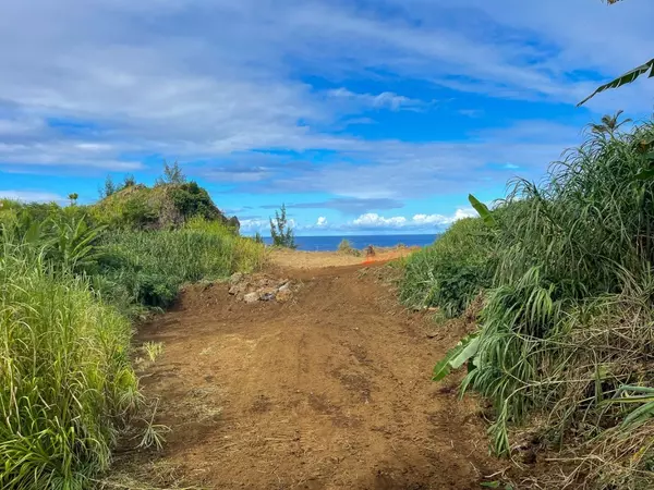 Ninole, HI 96780,HAWAII BELT RD