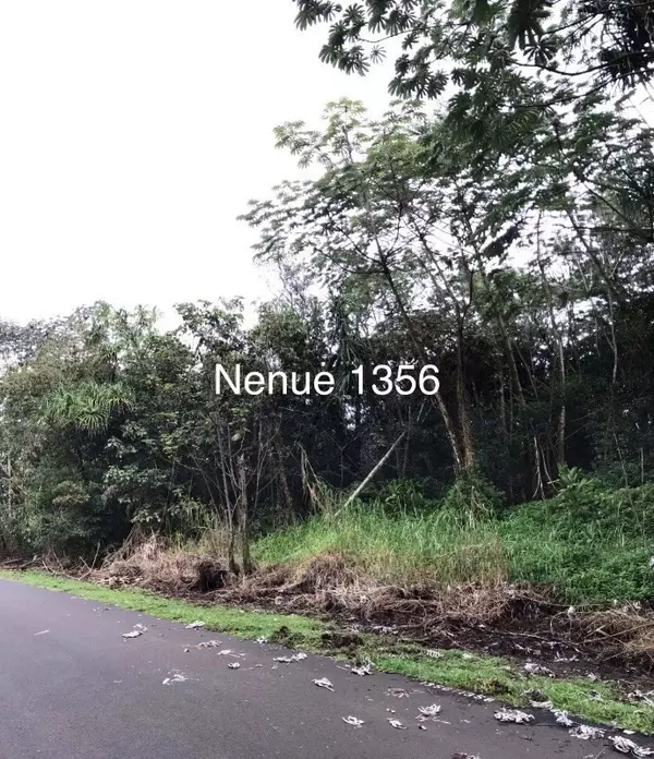 Pahoa, HI 96778,S NEHU ST