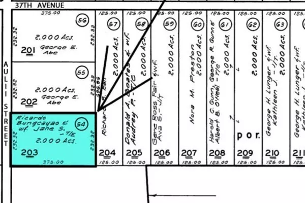 Kurtistown, HI 96760,AULII ST