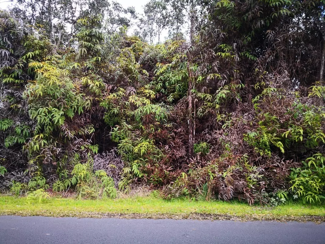 Volcano, HI 96785,ALII ANELA ST