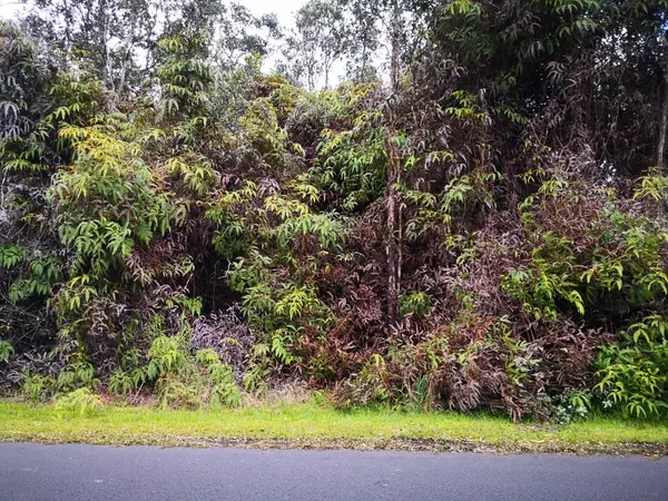 ALII ANELA ST, Volcano, HI 96785