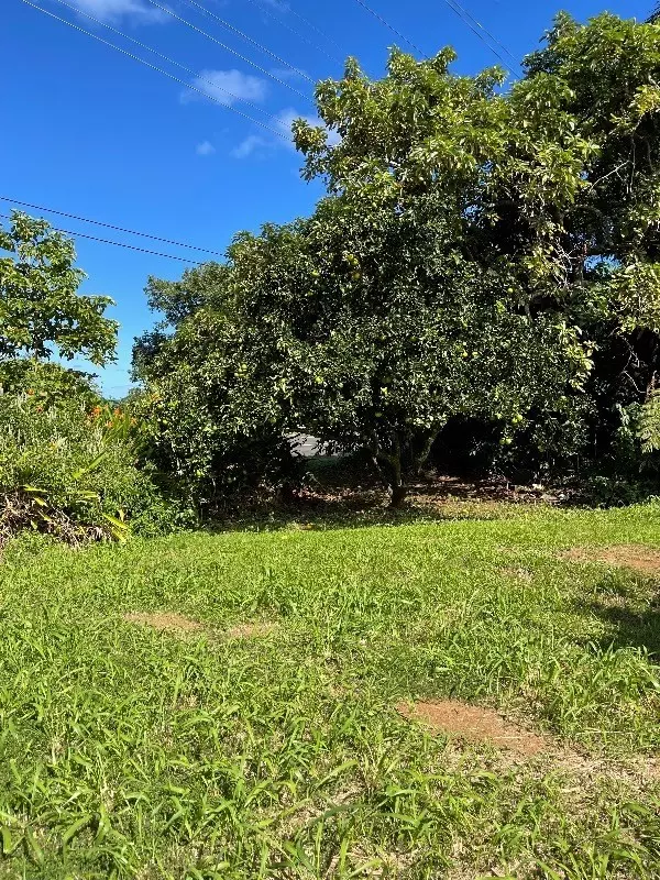 35-2088 OLD MAMALAHOA HWY, Laupahoehoe, HI 96764