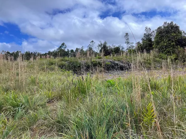 Volcano, HI 96785,VOLCANO RD